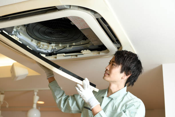Air Duct Mold Removal in KY