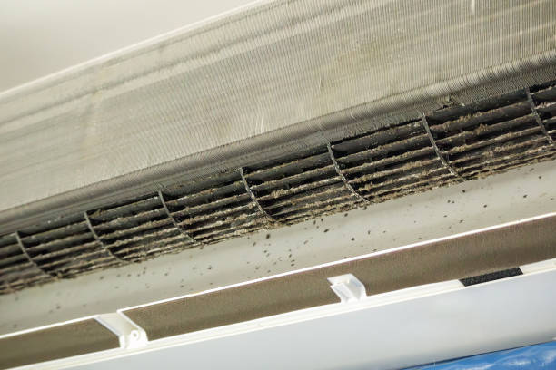 Best Affordable Duct Cleaning Services  in Mount Washington, KY
